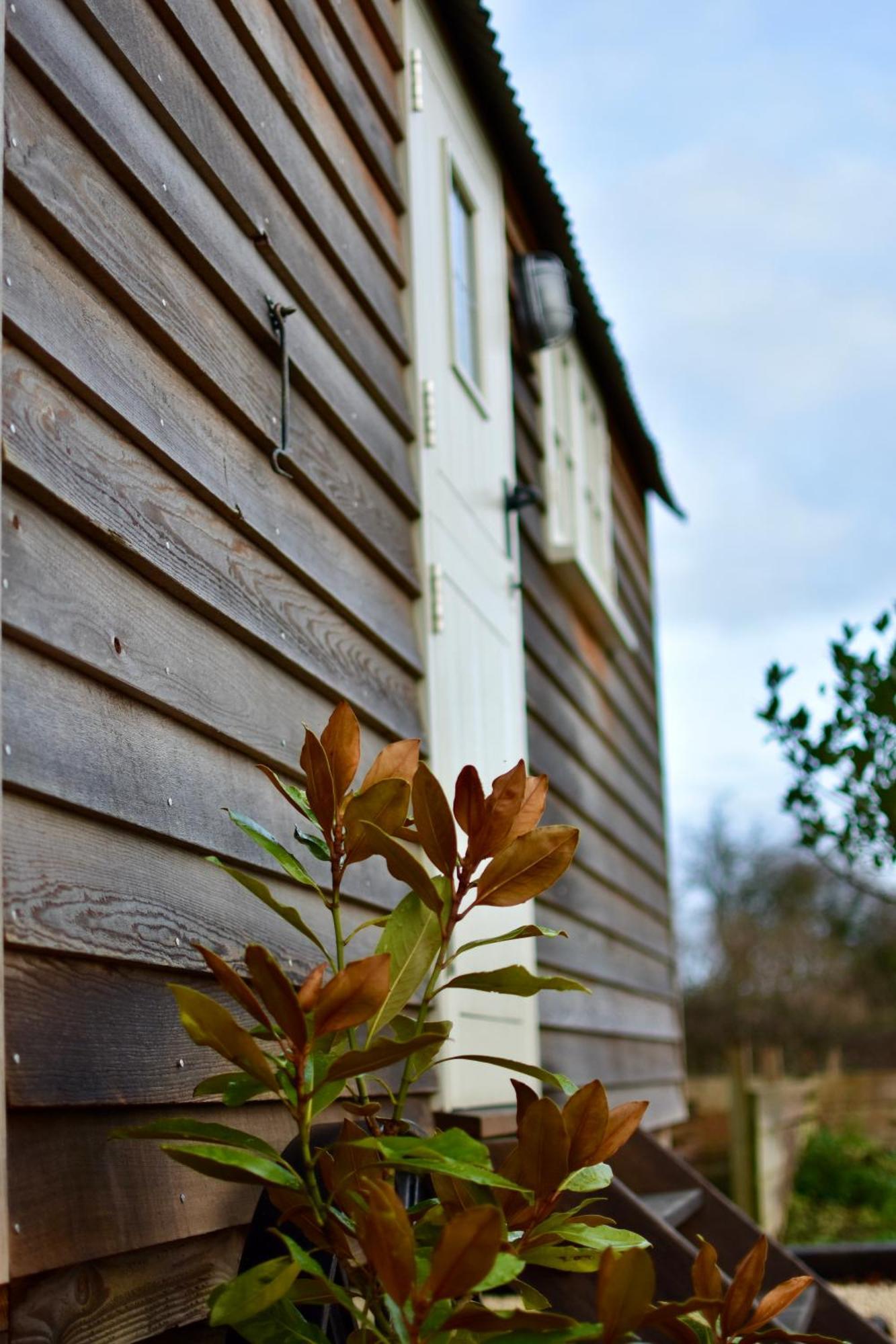 The Deer Hut Apartamento Burpham Exterior foto